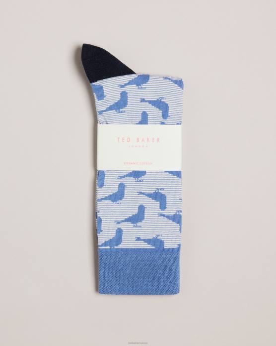 Ted Baker Hommes 60VD1981 accessoires chaussettes pidgsok à imprimé pigeon bleu